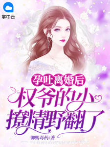 孕吐离婚后，权爷的小撩精野翻了全文免费试读